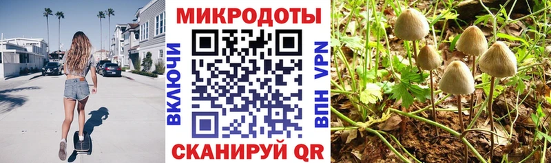 Галлюциногенные грибы ЛСД  купить  цена  Мостовской 